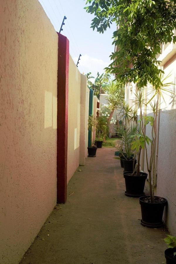Houghton Guest House Johannesbourg Extérieur photo